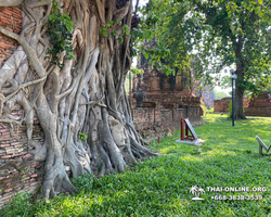Река Квай и Айюттхайя храм Wat Ratchaburana фото тура в Паттайе 2