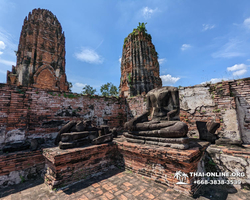Река Квай и Айюттхайя храм Wat Maha That фото тура в Паттайе 52