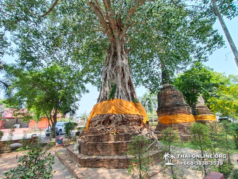 Река Квай и Айюттхайя храм Wat Na Phra Men фото тура в Паттайе 86