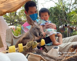 Сафари Ворлд Бангкок поездка Тайланд Seven Countries - фото 78