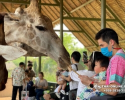 Сафари Ворлд Бангкок поездка Тайланд Seven Countries - фото 79