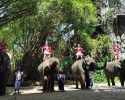Сафари Ворлд Бангкок поездка Тайланд Seven Countries - фото 178