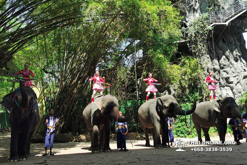Сафари Ворлд Бангкок поездка Тайланд Seven Countries - фото 178