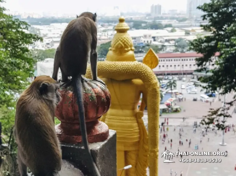 Поездка в Малайзию из Паттайи, Бангкока, Хуахина или с Пхукета экскурсия Seven Countries в Тайланде - фото 20