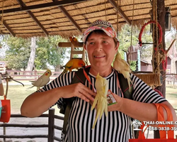 Тур Земля Королей и Альпака-Парк в Тайланде - фото поездки 147