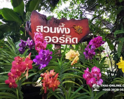 Тур Земля Королей и Альпака-Парк в Тайланде - фото поездки 170