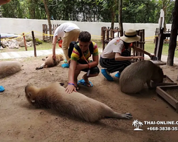 Тур Земля Королей и Альпака-Парк в Тайланде - фото поездки 180