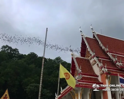 Тур Земля Королей и Альпака-Парк в Тайланде - фото поездки 72