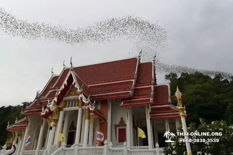 Тур Земля Королей и Альпака-Парк в Тайланде - фото поездки 236