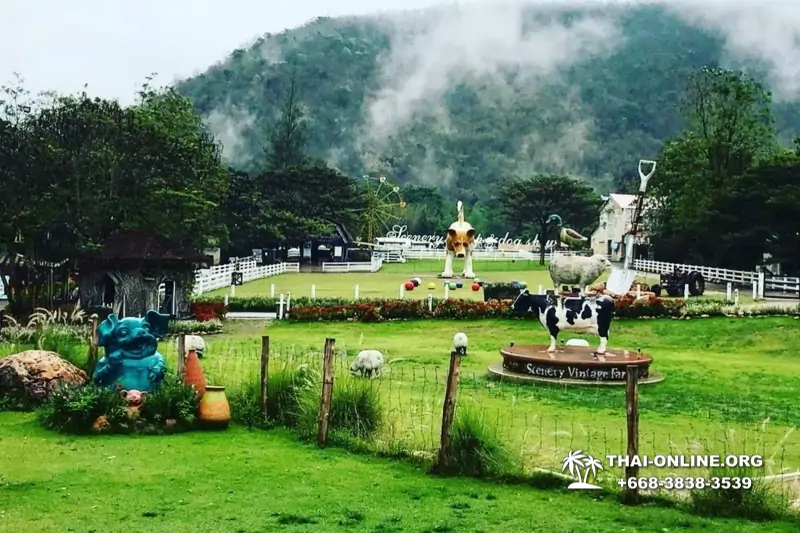 Альпака Парк экскурсия в Паттайе, однодневная тур программа Земля Королей и Альпака-Парк в Тайланде с компанией Seven Countries - фото 9