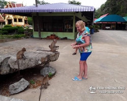Экскурсия Seven Countries из Паттайи на Ко Чанг Awa Resort фото 833