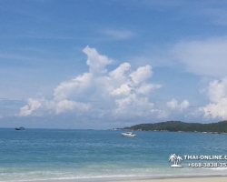 Поездка Самет из Паттайи с отелем Sea Breeze - фото Thai-Online 176