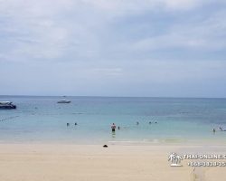 Поездка Самет из Паттайи с отелем Sea Breeze - фото Thai-Online (58)