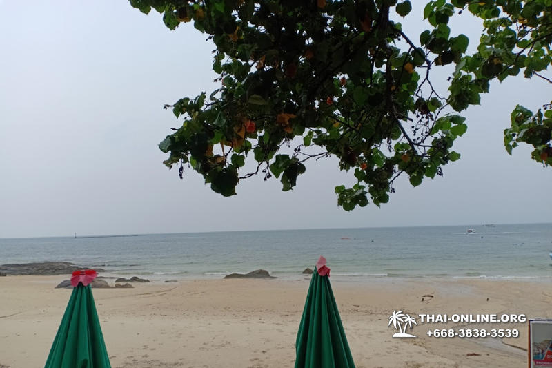 Поездка Самет из Паттайи с отелем Sea Breeze - фото Thai-Online (48)