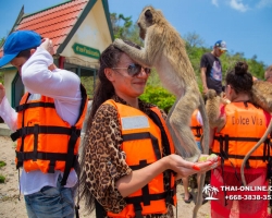 Мадагаскар экскурсия в Паттайе, Тайланд - фото Тай-Онлайн 218