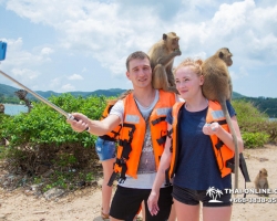 Мадагаскар экскурсия в Паттайе, Тайланд - фото Тай-Онлайн 222