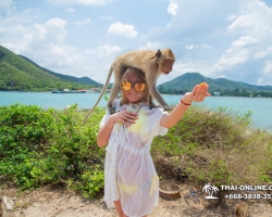 Мадагаскар экскурсия в Паттайе, Тайланд - фото Тай-Онлайн 249