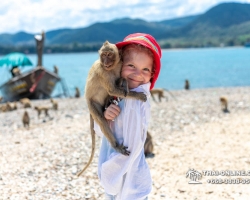 Мадагаскар экскурсия в Паттайе, Тайланд - фото Тай-Онлайн 82