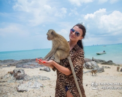 Мадагаскар экскурсия в Паттайе, Тайланд - фото Тай-Онлайн 232