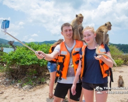 Мадагаскар экскурсия в Паттайе, Тайланд - фото Тай-Онлайн 184