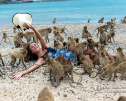 Мадагаскар экскурсия в Паттайе, Тайланд - фотография 48