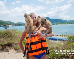 Мадагаскар экскурсия в Паттайе, Тайланд - фото Тай-Онлайн 275