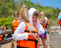 Мадагаскар экскурсия в Паттайе, Тайланд - фото Тай-Онлайн 197