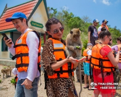 Мадагаскар экскурсия в Паттайе, Тайланд - фото Тай-Онлайн 225