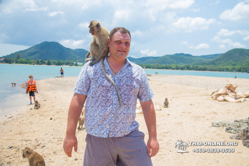 Мадагаскар экскурсия в Паттайе, Тайланд - фото Тай-Онлайн 239