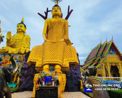 Классический тур Изумительный Тайланд Seven Countries - фото 207
