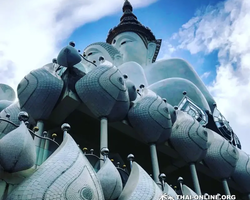 Над Облаками Паттайя Тайланд экскурсия в Петчабун Кхао Кхо фото 333