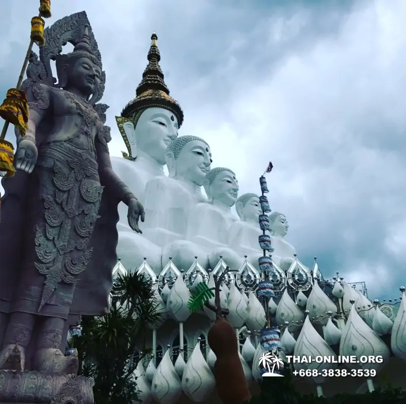 Над Облаками Паттайя Тайланд экскурсия в Петчабун Кхао Кхо фото 405