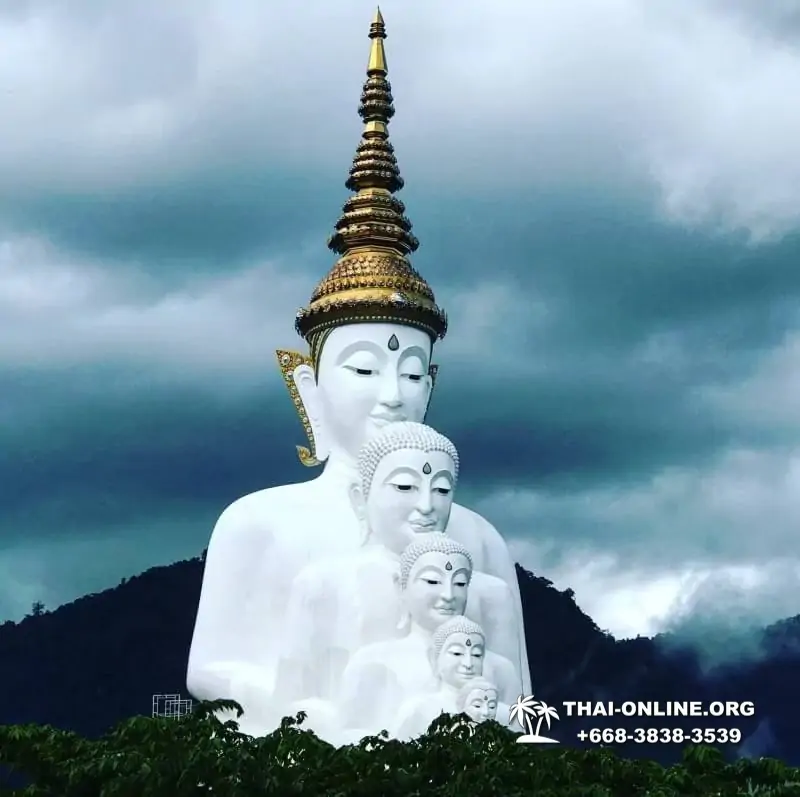 Над Облаками Паттайя Тайланд экскурсия в Петчабун Кхао Кхо фото 489