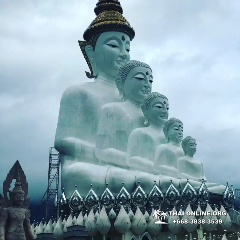 Над Облаками Паттайя Тайланд экскурсия в Петчабун Кхао Кхо фото 430
