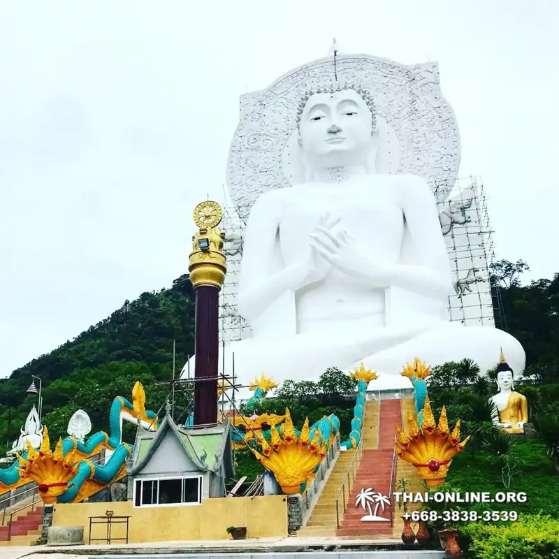 Над Облаками Паттайя Тайланд экскурсия в Петчабун Кхао Кхо фото 282