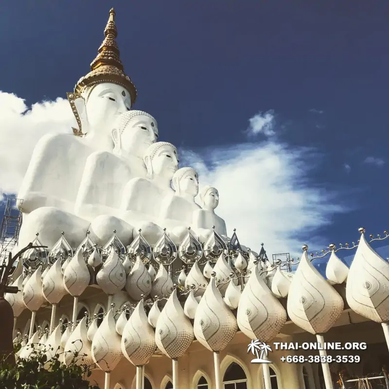 Над Облаками Паттайя Тайланд экскурсия в Петчабун Кхао Кхо фото 395