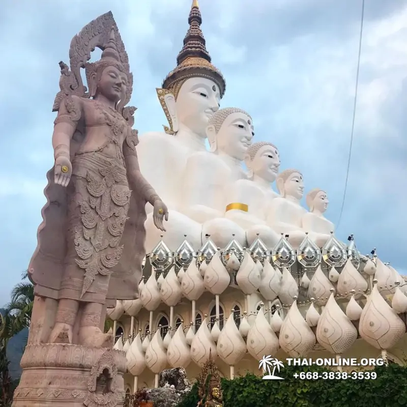Над Облаками Паттайя Тайланд экскурсия в Петчабун Кхао Кхо фото 367