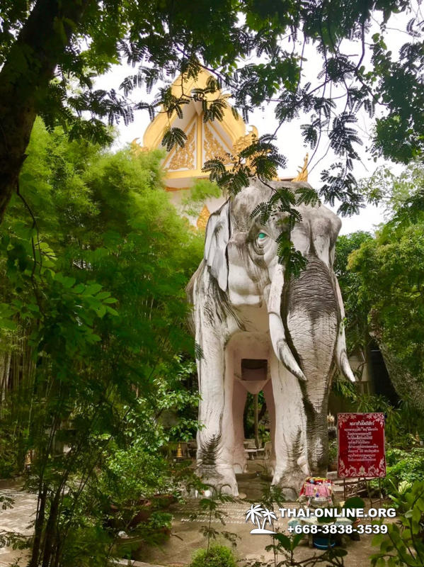 Поездка Квай, Бангкок и Дом Дракона - фотоальбом тура Паттайя 54