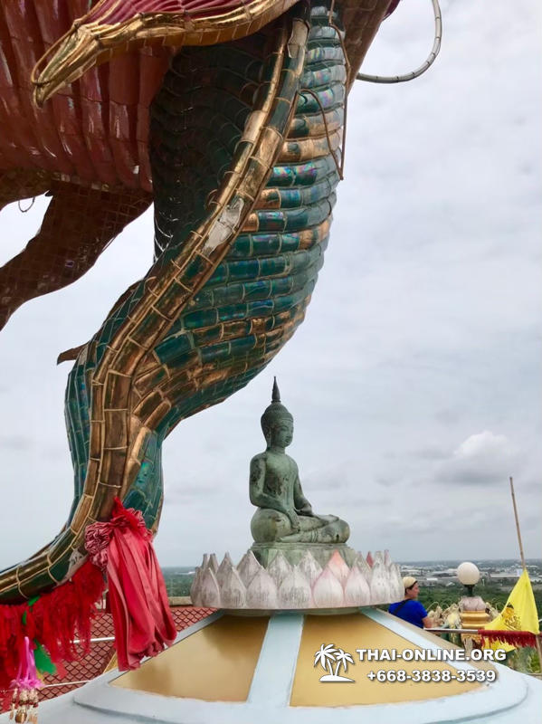 Поездка Квай, Бангкок и Дом Дракона - фотоальбом тура Паттайя 151