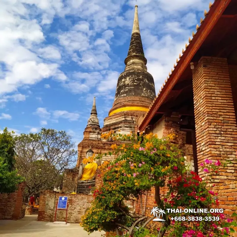 Поездка в Аюттайя из Паттайя фото тура в Аюттхая Thai Online 30