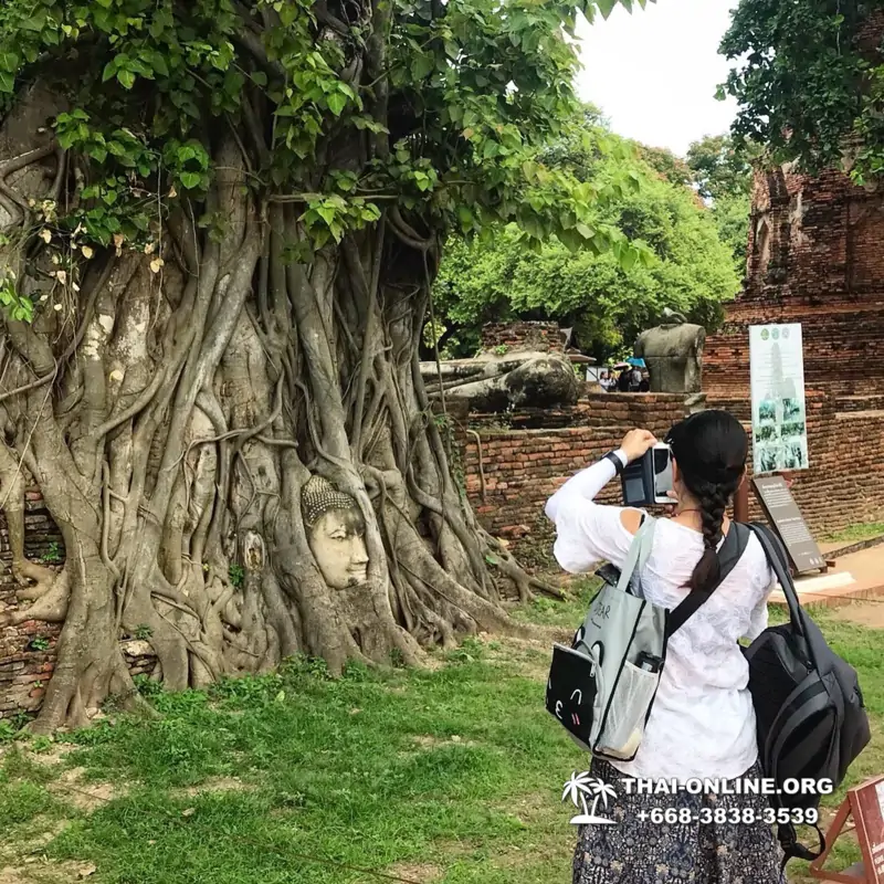 Экскурсия Seven Countries из Паттайи и Бангкока в Айюттхайя фото 107