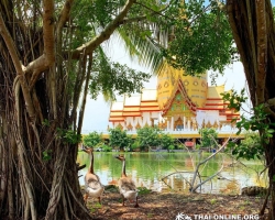 Поездка Тайны Сиама в Тайланде компании Seven Countries фото тура 5