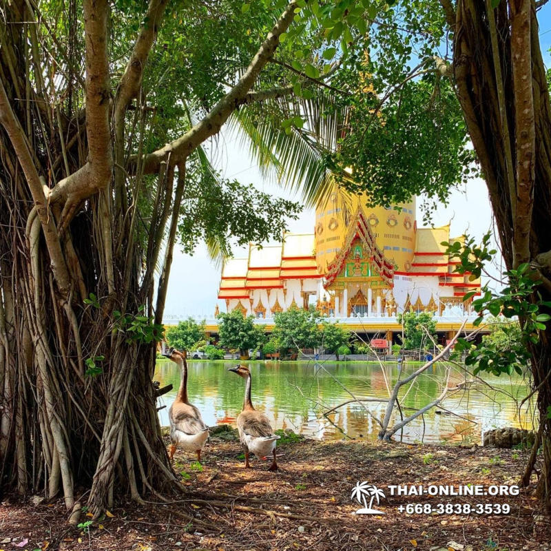 Поездка Тайны Сиама в Тайланде компании Seven Countries фото тура 5