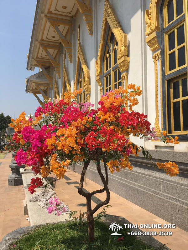Поездка Тайны Сиама в Тайланде компании Seven Countries фото тура 61