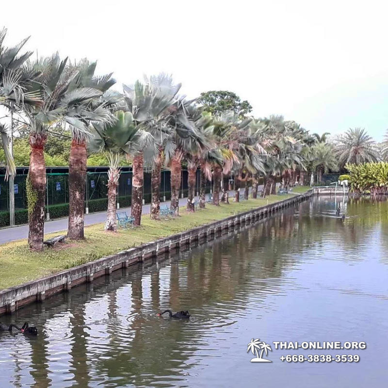 Поездка Тайны Сиама в Тайланде компании Seven Countries фото тура 86