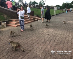 Турпоездка Сила Жизни в Тайланде Seven Countries Паттайя фото 203