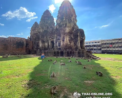Турпоездка Сила Жизни в Тайланде Thai-Online Паттайя фото 384