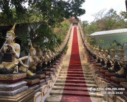 Поездка Сила Жизни в Тайланде - фотогалерея экскурсии 20191110