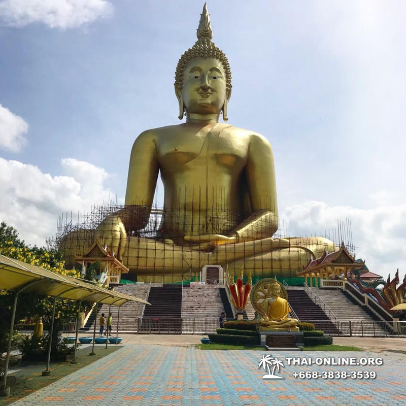 Турпоездка Сила Жизни в Тайланде Seven Countries Паттайя фото 189