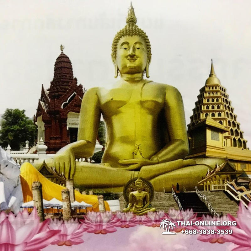 Турпоездка Сила Жизни в Тайланде Seven Countries Паттайя фото 178